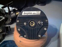 Dolphin 605_2.jpg