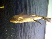 IMG-20120402-00063.jpg