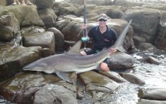 Blacktip fem 185cm 103kg Seavale 140511.JPG