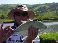 Kingfish - species unknown,.JPG