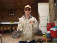 Oysters.JPG