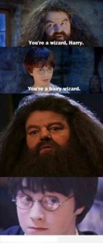 harry.jpg