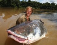 ColossalCatfish_05_FishWarrior-300x240.jpg