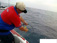 GT+Challange++2010+084-s2.jpg