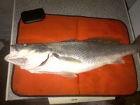 Brackenfell-20120703-00785.jpg