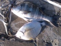 IMG-20120526-00555.jpg