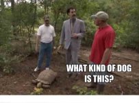 borat1.jpg